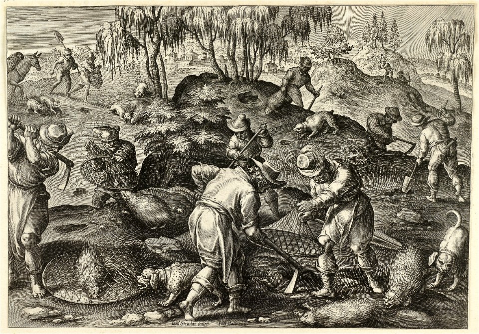 Stekelvarkenjacht. NL-HlmNHA 1477 53008426