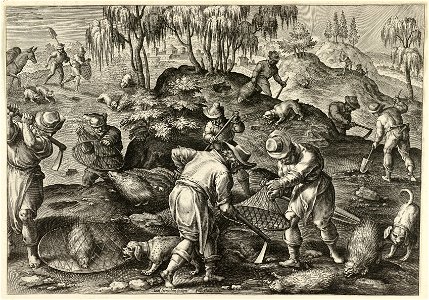 Stekelvarkenjacht. NL-HlmNHA 1477 53008426