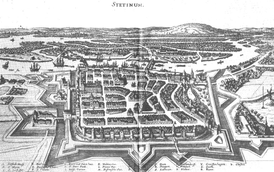 Stettin merian