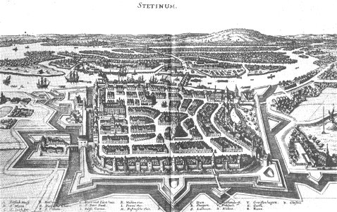 Stettin merian. Free illustration for personal and commercial use.