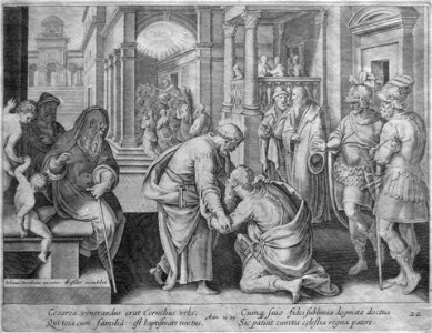 Stradanus