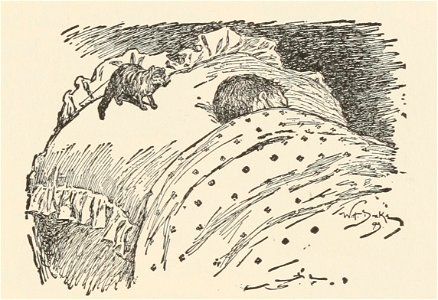 T2JB327 - Rikki-Tikki was awake on the pillow