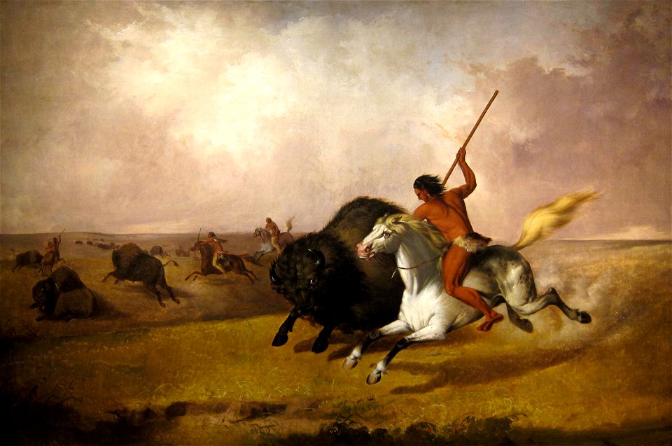 Buffalo Hunt on the Southwestern Prairies
