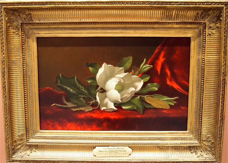 The Magnolia Blossom 075251