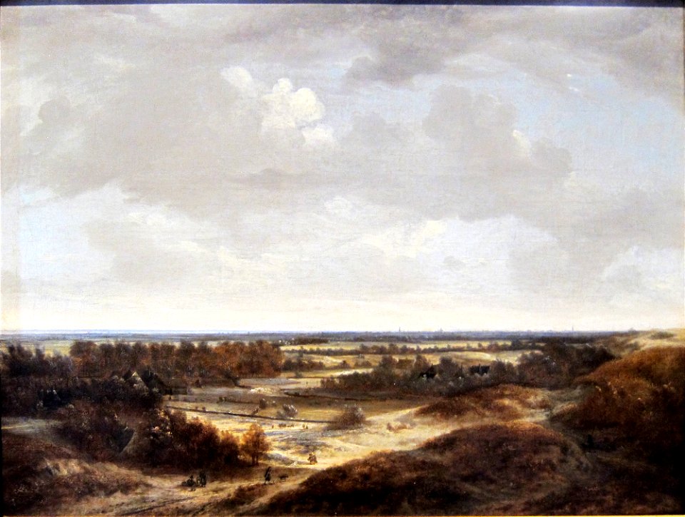 Strasbourg rohan vermeer van haarlem dune