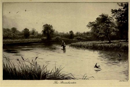 TheBroadwater