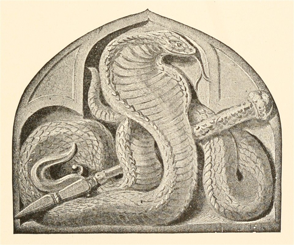 T2JB189 - illustration