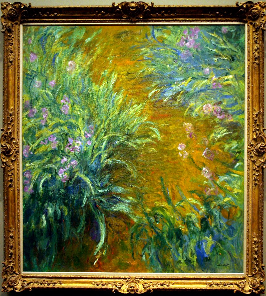 The Path through the Irises