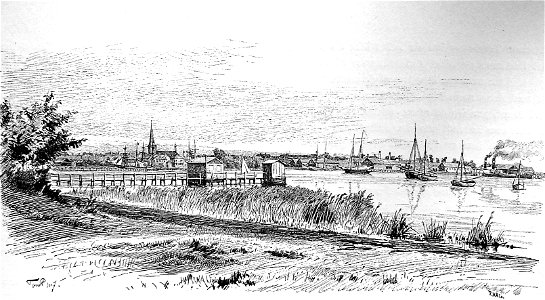 TPetersen Nyborg