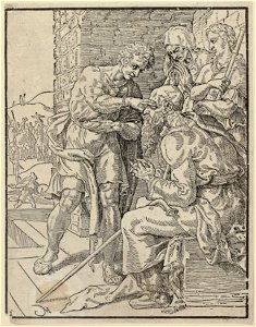 Tobias geneest de blindheid van zijn vader Tobit (Tobit 1111), NL-HlmNHA 1477 53008578