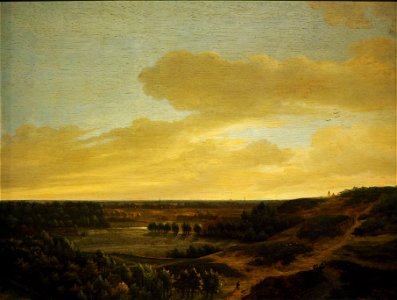 Vermeer van Haarlem Dünen@Herzog Anton Ulrich Museum (1)