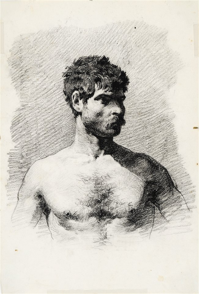 Torso de hombre. Academia - Rafael Romero de Torres