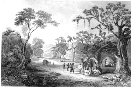 Views in India 0034a