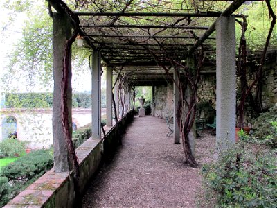 Villa le balze, pergolato 03