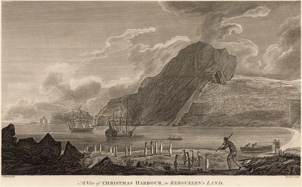 Webber Cook Christmas Harbour Kerguelen