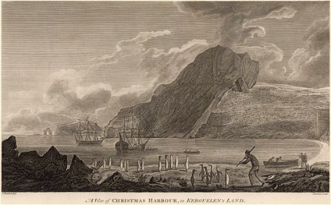 Webber Cook Christmas Harbour Kerguelen