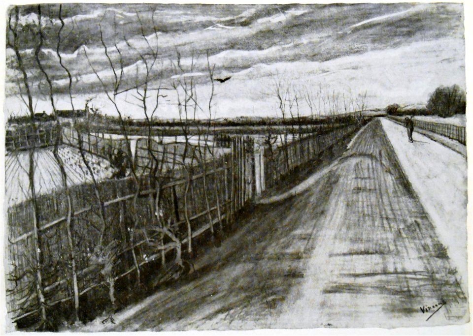 Vincent Van Gogh 13