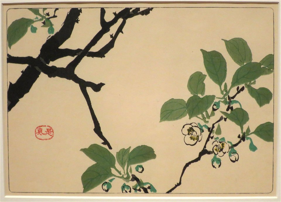 White Plum Flowers by Shibata Zeshin from Comparing Flowers, Volume 6
