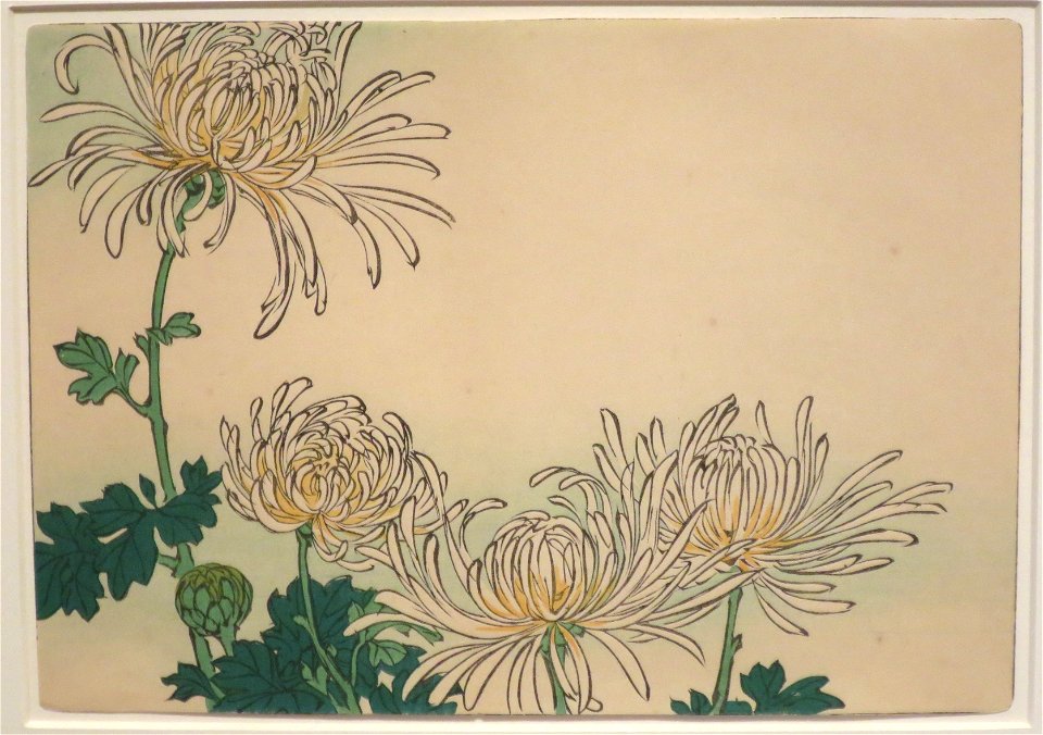 White Chrysanthemums by Shibata Zeshin from Comparing Flowers, Volume 6