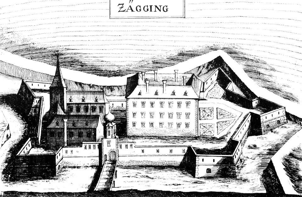 Zagging-Vischer