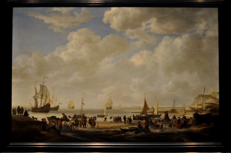 Vlieger, View of a beach