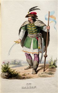 Zoltan Litho 2