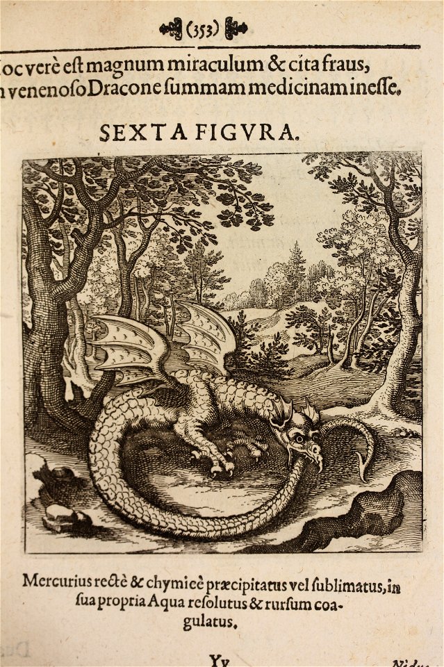 Musaeum Hermeticum 1678 p 353 Dragon 0049