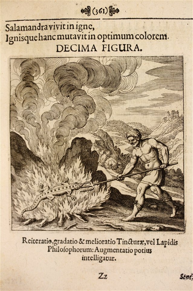 Musaeum Hermeticum 1678 p 361 Fire 0053