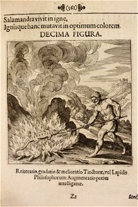Musaeum Hermeticum 1678 p 361 Fire 0053