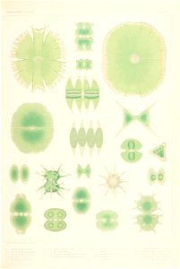 n376_w1150