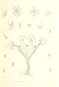 n160_w1150