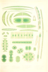 n374_w1150
