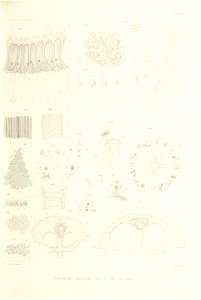n178_w1150
