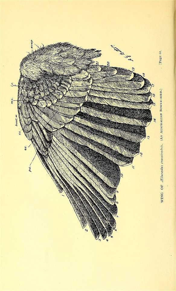 n71_w1150