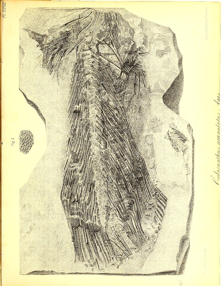 n422_w1150