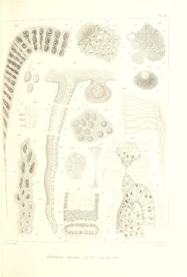 n176_w1150