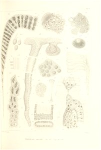 n176_w1150