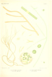 n364_w1150
