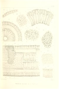 n174_w1150