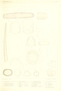 n392_w1150