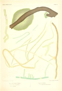 n362_w1150