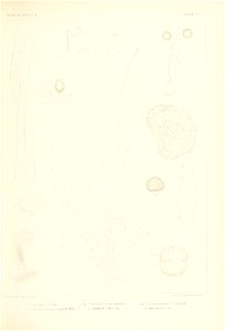 n390_w1150