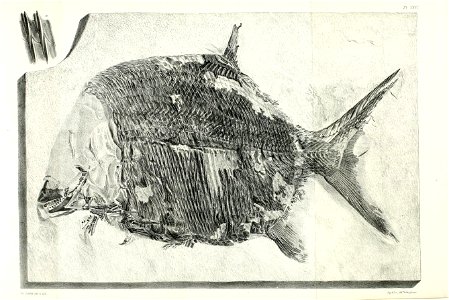 n410_w1150