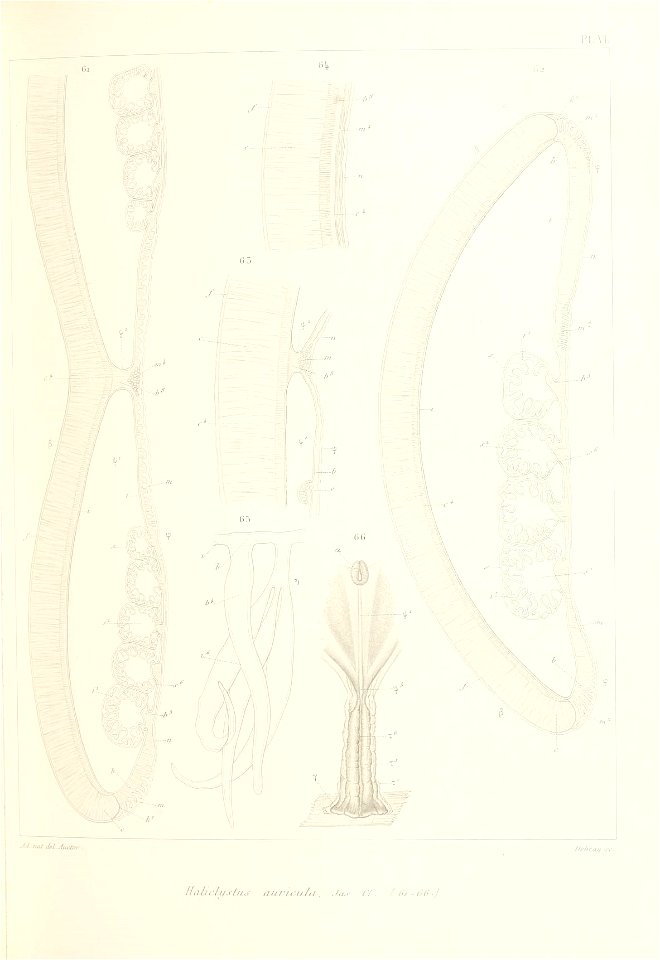 n170_w1150