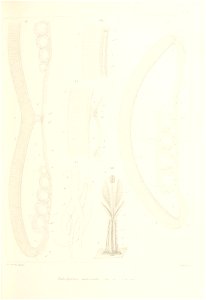 n170_w1150