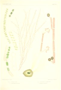 n388_w1150
