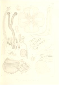 n168_w1150