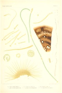 n358_w1150