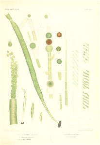 n384_w1150