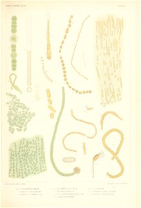 n354_w1150